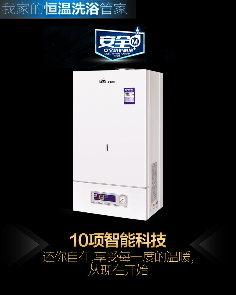 【艾雅】A系列燃氣采暖熱水爐